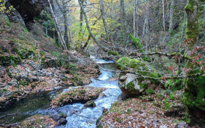 Ruta 17-2024:  Cascada de Nocedo y Bosque de las Hadas