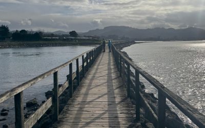 Ruta 01-2026: Ruta Costera: Faro de Lastres a Rodiles