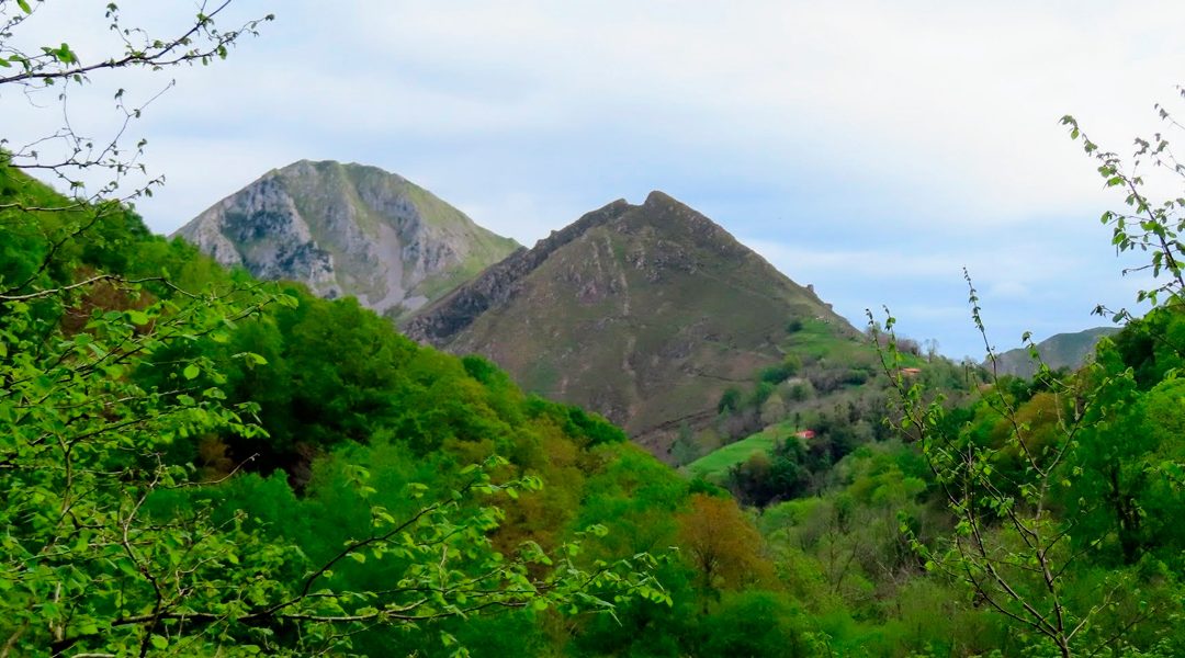 Ruta 02-2026:  Puente la Matosa, Cerro Niaño, Espinaredo