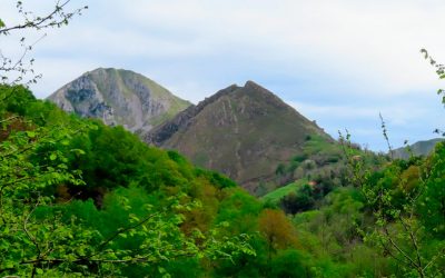 Ruta 02-2026:  Puente la Matosa, Cerro Niaño, Espinaredo